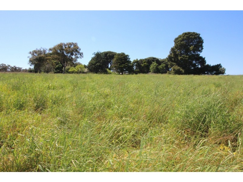 10373 Riddoch Highway, Naracoorte SA 5271