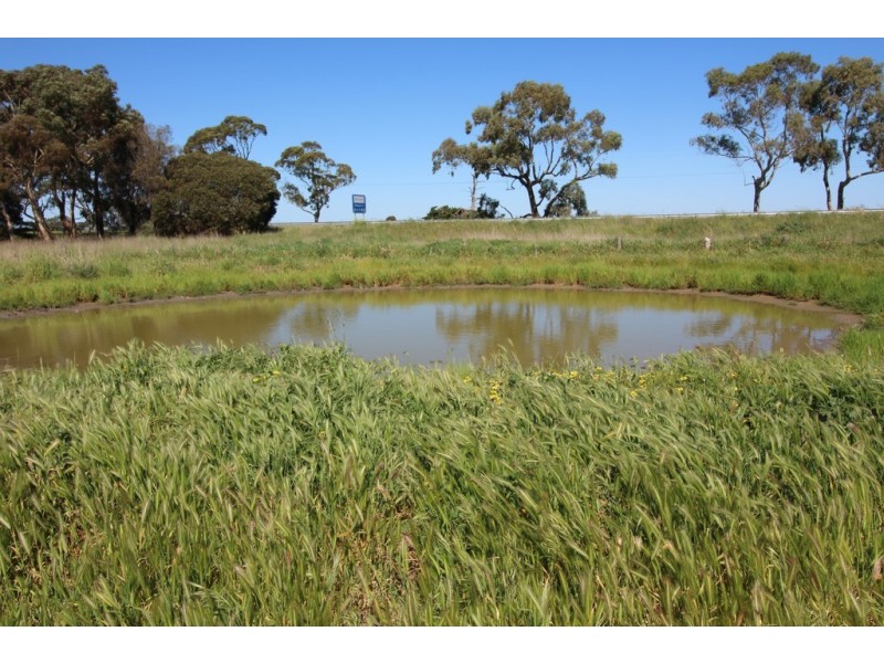 10373 Riddoch Highway, Naracoorte SA 5271