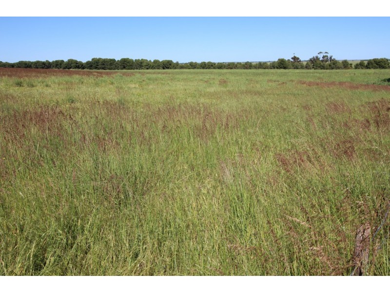 10373 Riddoch Highway, Naracoorte SA 5271
