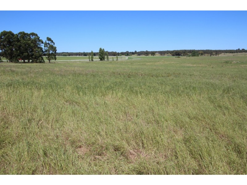 0 Blackwell Road, Naracoorte SA 5271