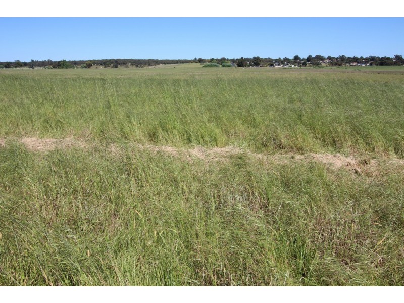 0 Blackwell Road, Naracoorte SA 5271