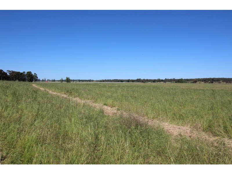 0 Blackwell Road, Naracoorte SA 5271