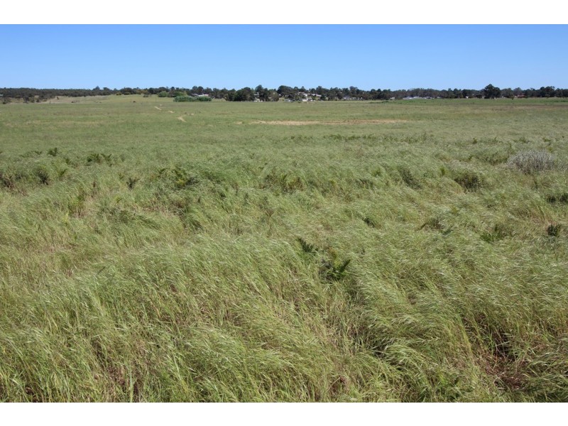 0 Blackwell Road, Naracoorte SA 5271