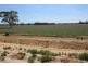 213 Carousel Road, Keith SA 5267