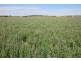 213 Carousel Road, Keith SA 5267