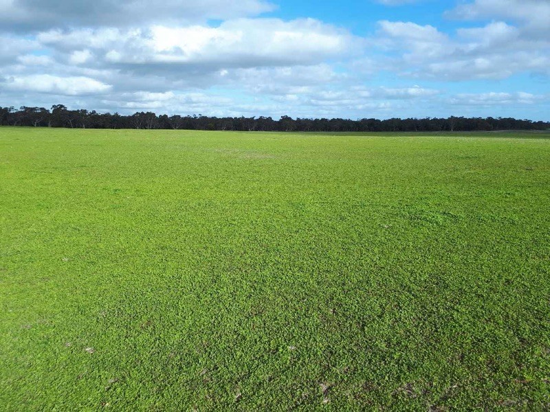 Lot 429 Hazels Road, Naracoorte SA 5271
