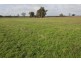 Lot 429 Hazels Road, Naracoorte SA 5271