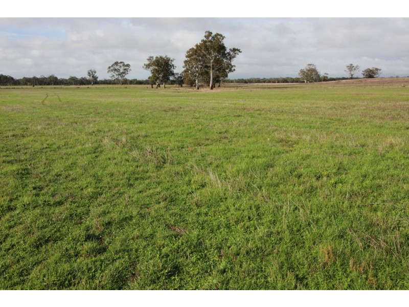 Lot 429 Hazels Road, Naracoorte SA 5271