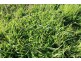 Lot 429 Hazels Road, Naracoorte SA 5271
