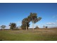 Lot 429 Hazels Road, Naracoorte SA 5271