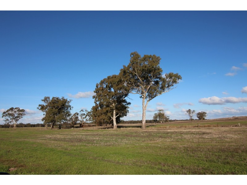 Lot 429 Hazels Road, Naracoorte SA 5271