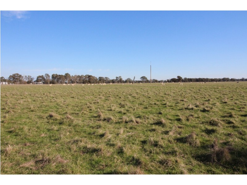 1273 Gap Road, Frances SA 5262