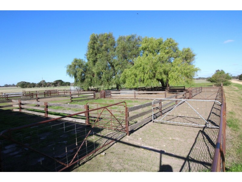 1273 Gap Road, Frances SA 5262