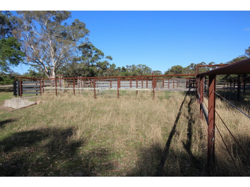 1273 Gap Road, Frances SA 5262