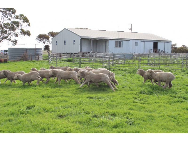 907 Pascoe Road, Coonalpyn SA 5265