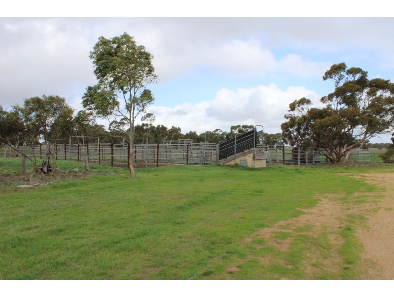 907 Pascoe Road, Coonalpyn SA 5265