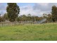 907 Pascoe Road, Coonalpyn SA 5265