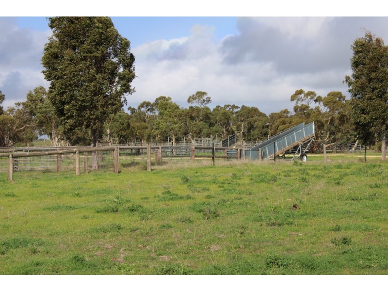 907 Pascoe Road, Coonalpyn SA 5265