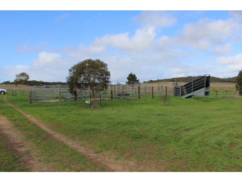 907 Pascoe Road, Coonalpyn SA 5265