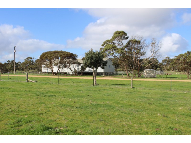 907 Pascoe Road, Coonalpyn SA 5265