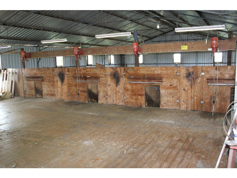 907 Pascoe Road, Coonalpyn SA 5265