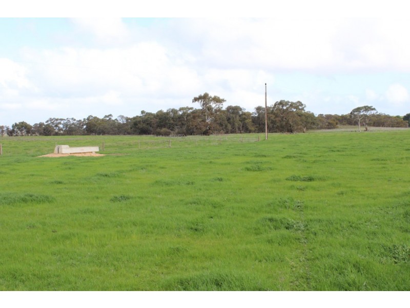 907 Pascoe Road, Coonalpyn SA 5265