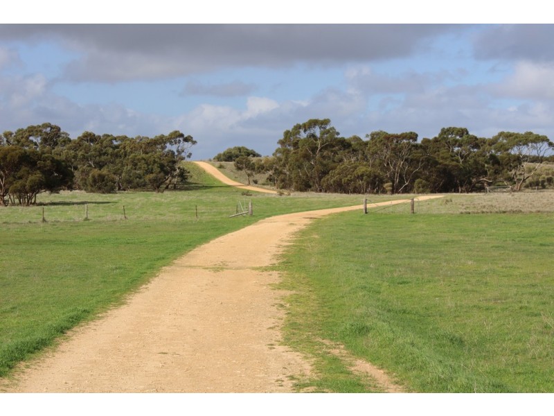 907 Pascoe Road, Coonalpyn SA 5265