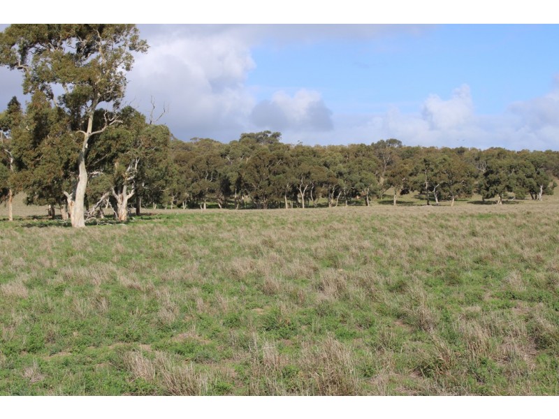 907 Pascoe Road, Coonalpyn SA 5265