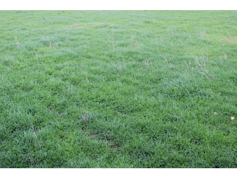 907 Pascoe Road, Coonalpyn SA 5265