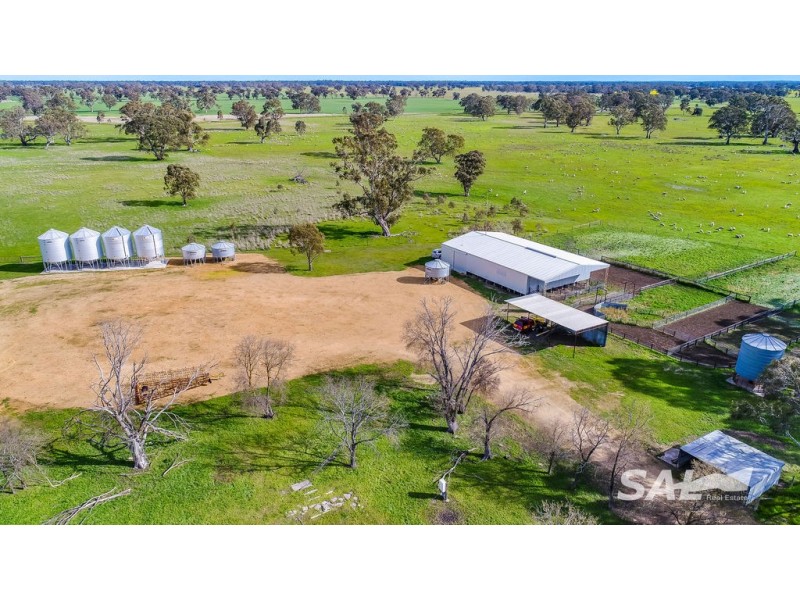 1273 Gap Rd, Frances SA 5262