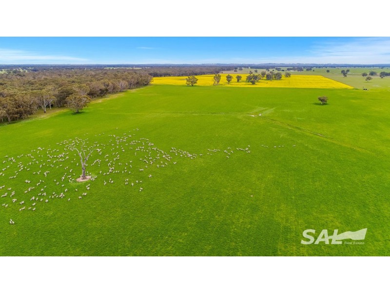 1273 Gap Rd, Frances SA 5262