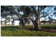 1273 Gap Rd, Frances SA 5262