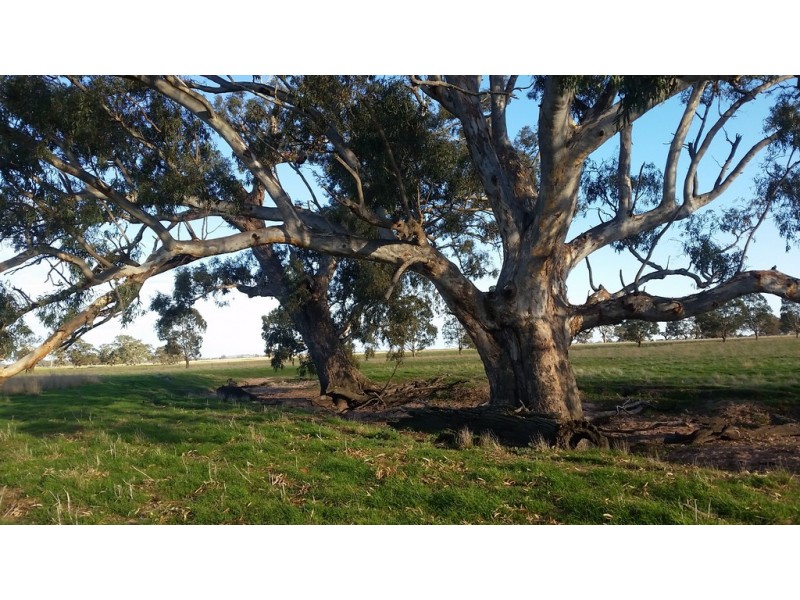 1273 Gap Rd, Frances SA 5262