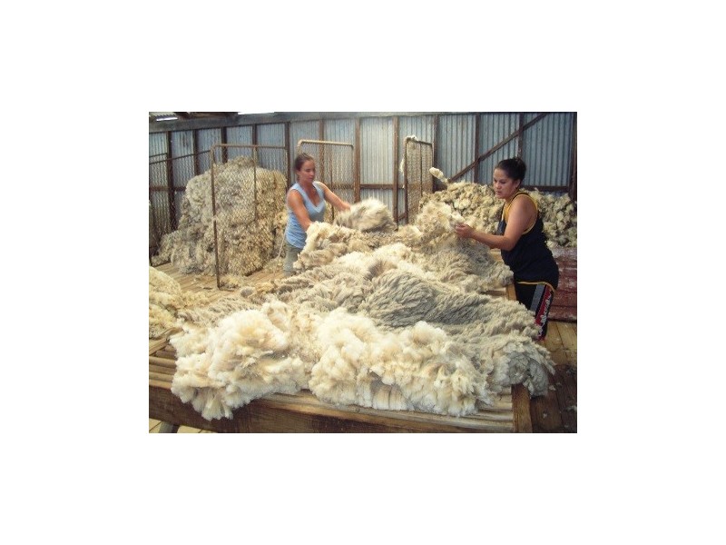 1273 Gap Rd, Frances SA 5262