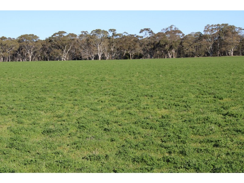 1273 Gap Rd, Frances SA 5262