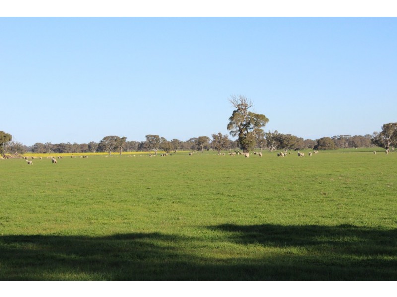 1273 Gap Rd, Frances SA 5262