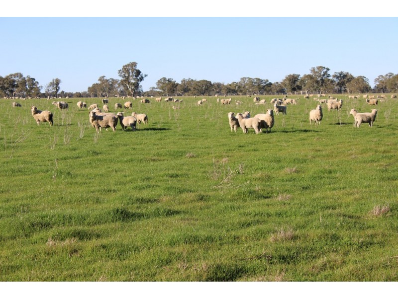 1273 Gap Rd, Frances SA 5262