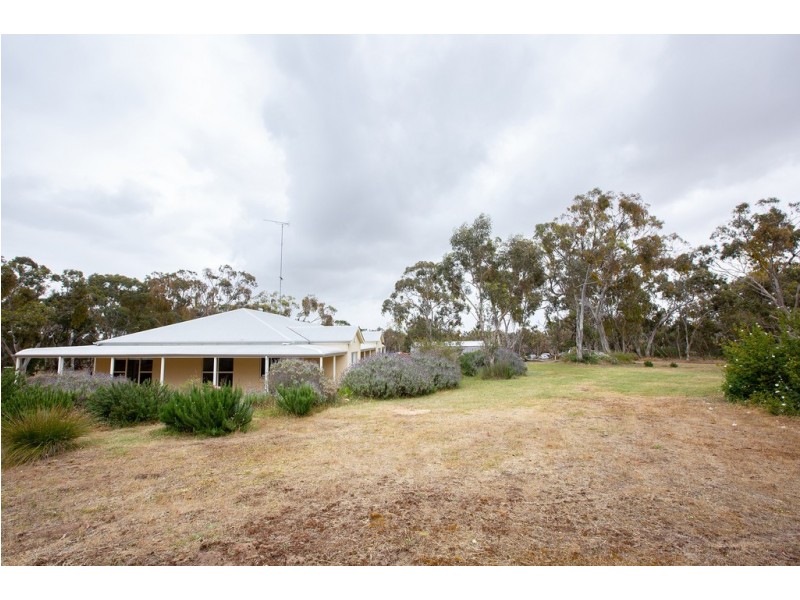 154 Hampton Road, Naracoorte SA 5271