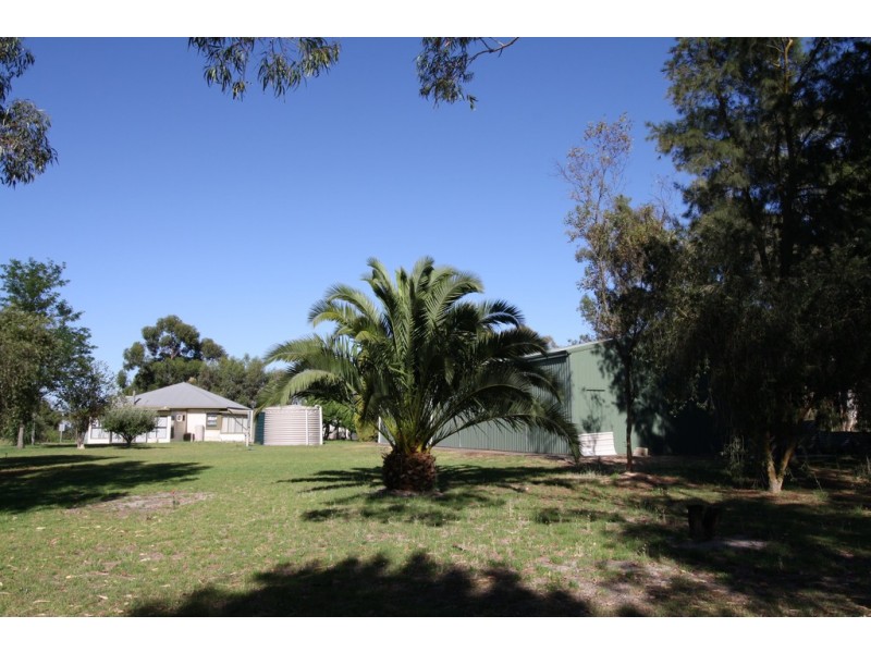 37 MacMillan Road, Naracoorte SA 5271