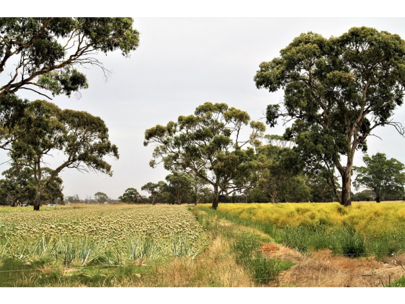 19 Hills Road, Padthaway SA 5271