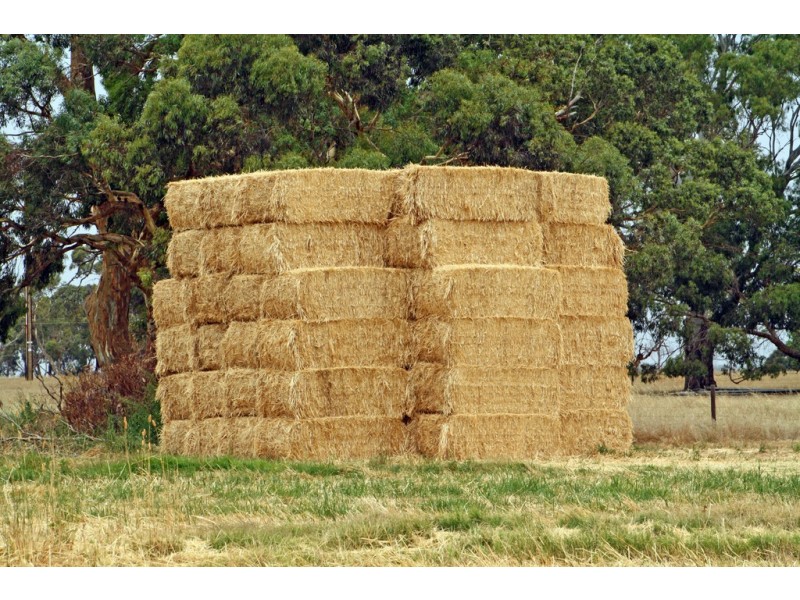 19 Hills Road, Padthaway SA 5271