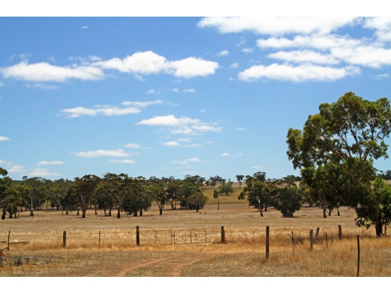 19 Hills Road, Padthaway SA 5271