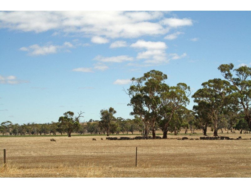 19 Hills Road, Padthaway SA 5271