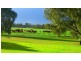 1591 Lucindale Road, Spence SA 5271