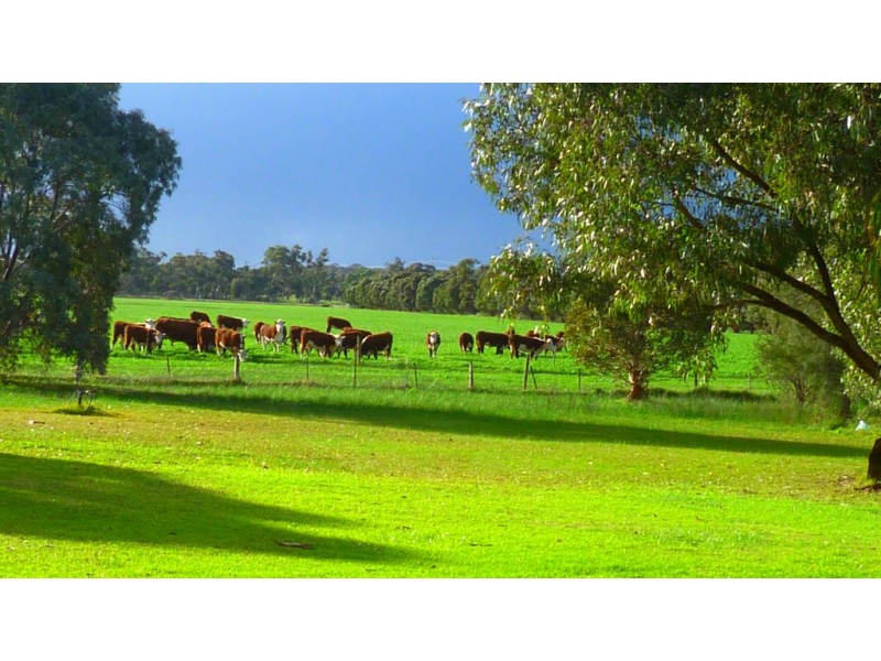 1591 Lucindale Road, Spence SA 5271