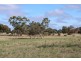 1591 Lucindale Road, Spence SA 5271