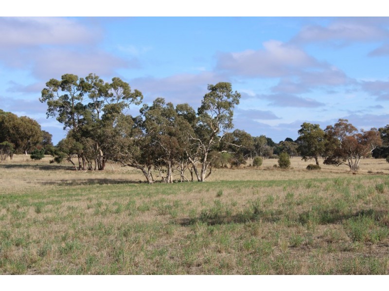 1591 Lucindale Road, Spence SA 5271