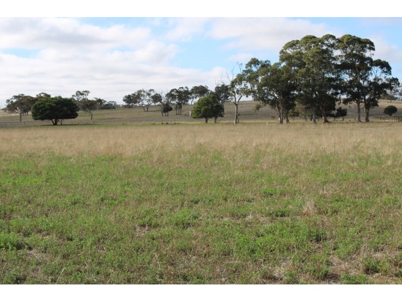 1591 Lucindale Road, Spence SA 5271