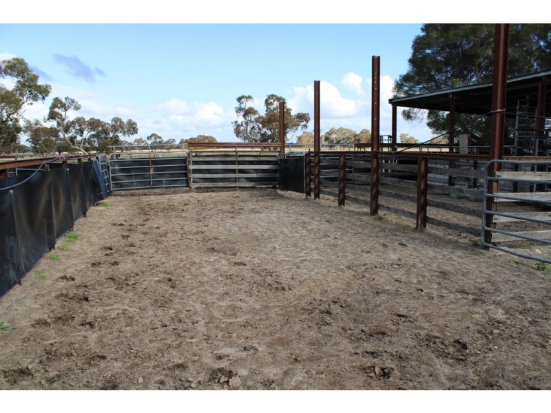 1591 Lucindale Road, Spence SA 5271