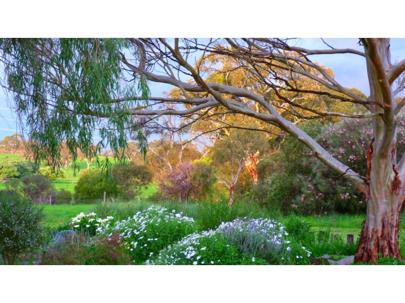 1591 Lucindale Road, Spence SA 5271